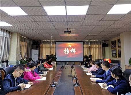 向榜樣看齊，做合格黨員