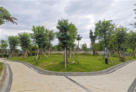 【提升“三力” 爭(zhēng)創(chuàng)佳績(jī)】三門江森林公園停車庫項(xiàng)目通過竣工驗(yàn)收