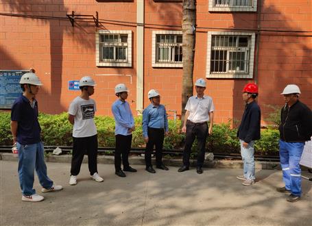 何勇、韋克雪到柳州市城市更新項目進行調研指導工作