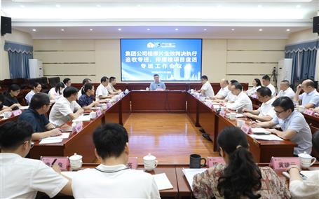 陸志斌出席集團(tuán)公司桂柳片生效判決執(zhí)行追收和停緩建項目盤活專班工作會議